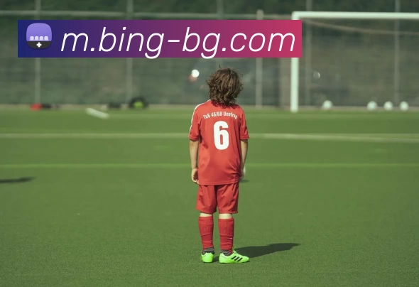 BG真人全站App